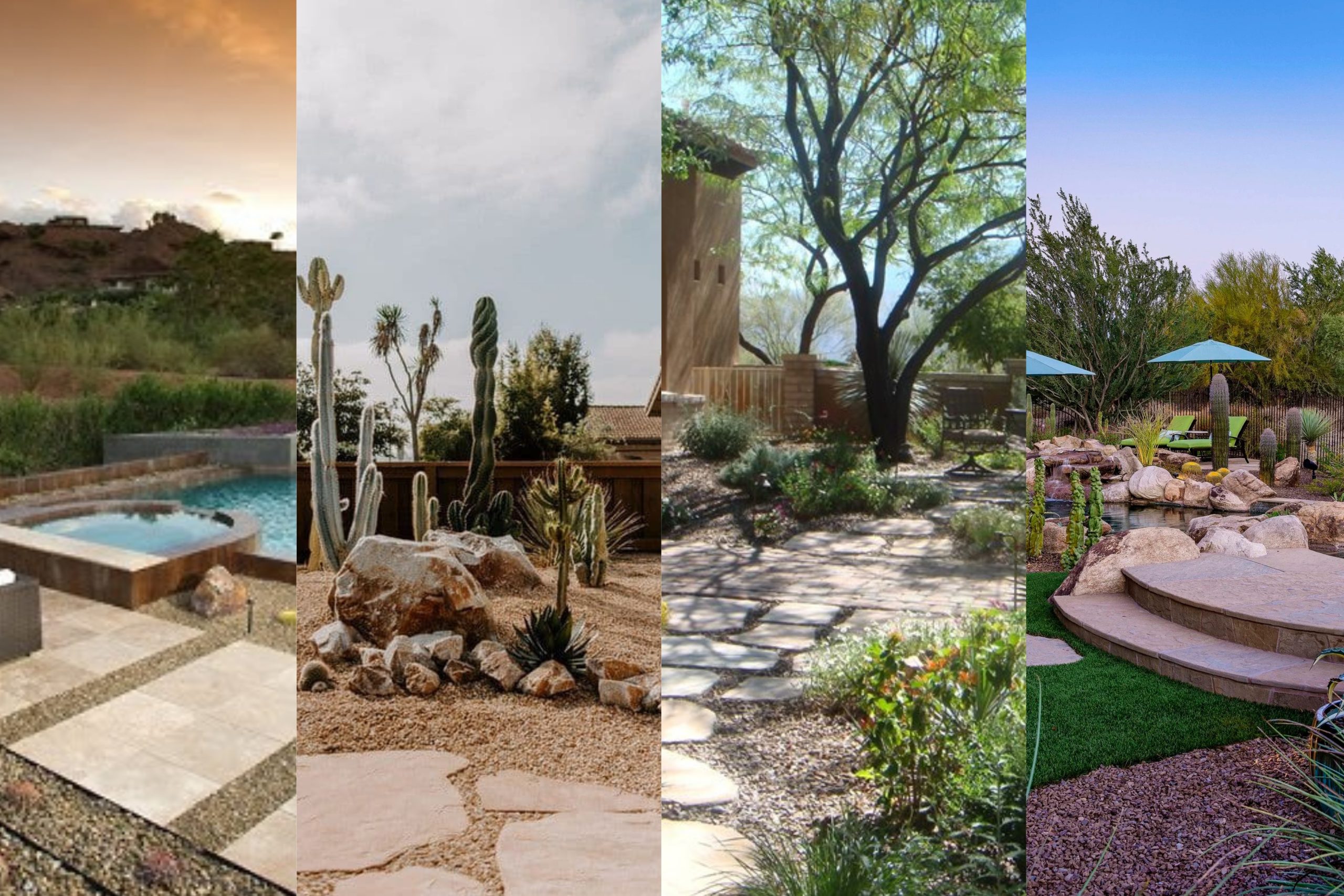 Desert / Southwestern Landscape Design Inspiration