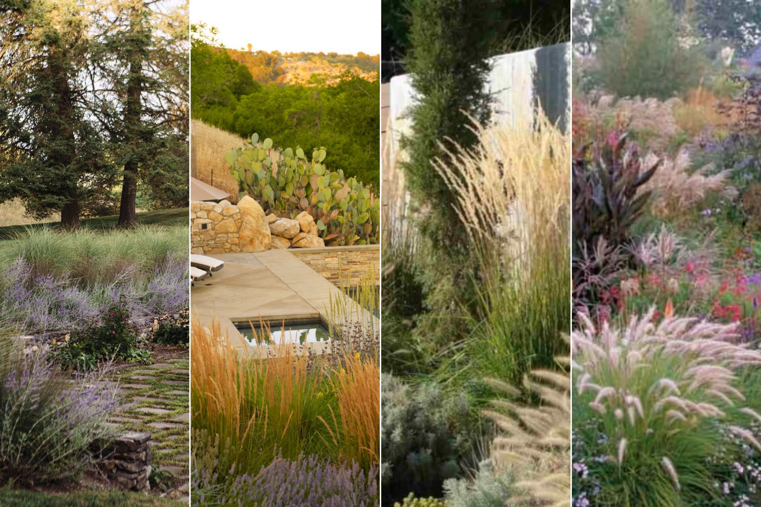 Prairie & Grassland Landscape Design Inspiration